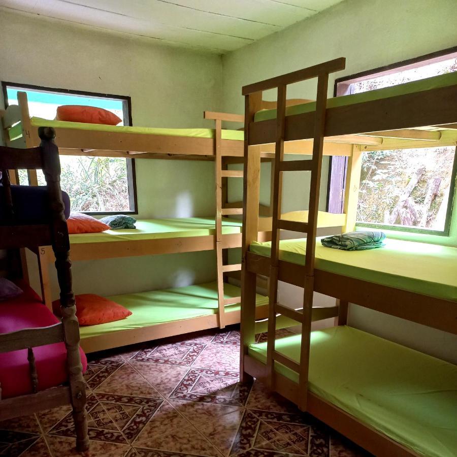 Live Hostel Parati Habitación foto